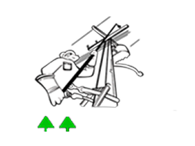 Coofeste